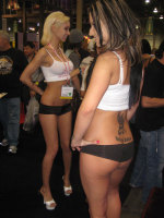 Some Random AVN Show Pictures